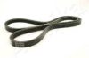 ASHIKA 112-3PK1000 V-Ribbed Belts
